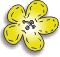 Alfie_and_Alice_flower_button