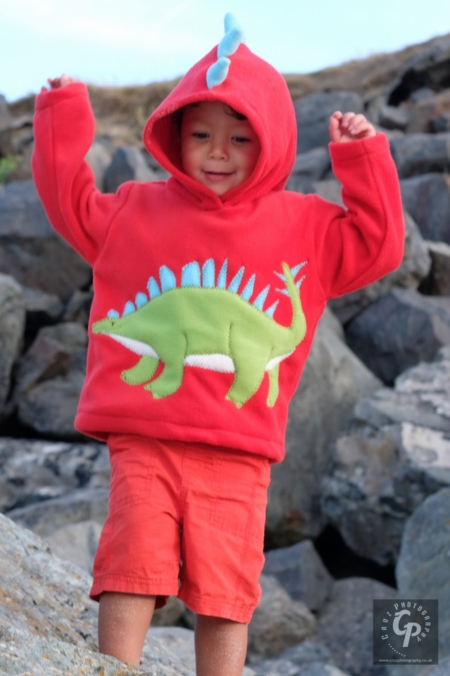 red kentrosaurus dinosaur hoodie