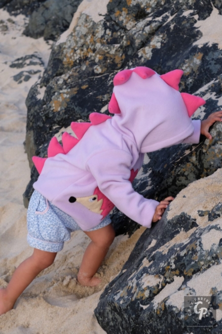 Lilac hedgehog hoodie