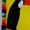 toucan applique close up
